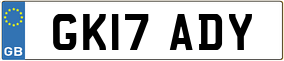 Truck License Plate